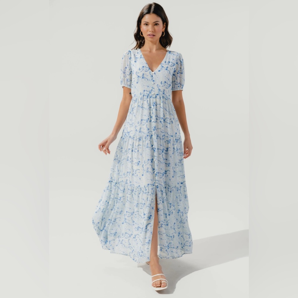 Corinna Paisley Maxi Dress (M) NWT!